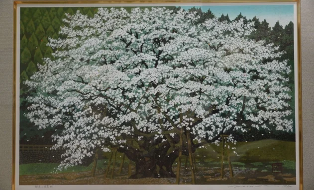 【絵画】井堂雅夫「根尾の淡墨桜」
