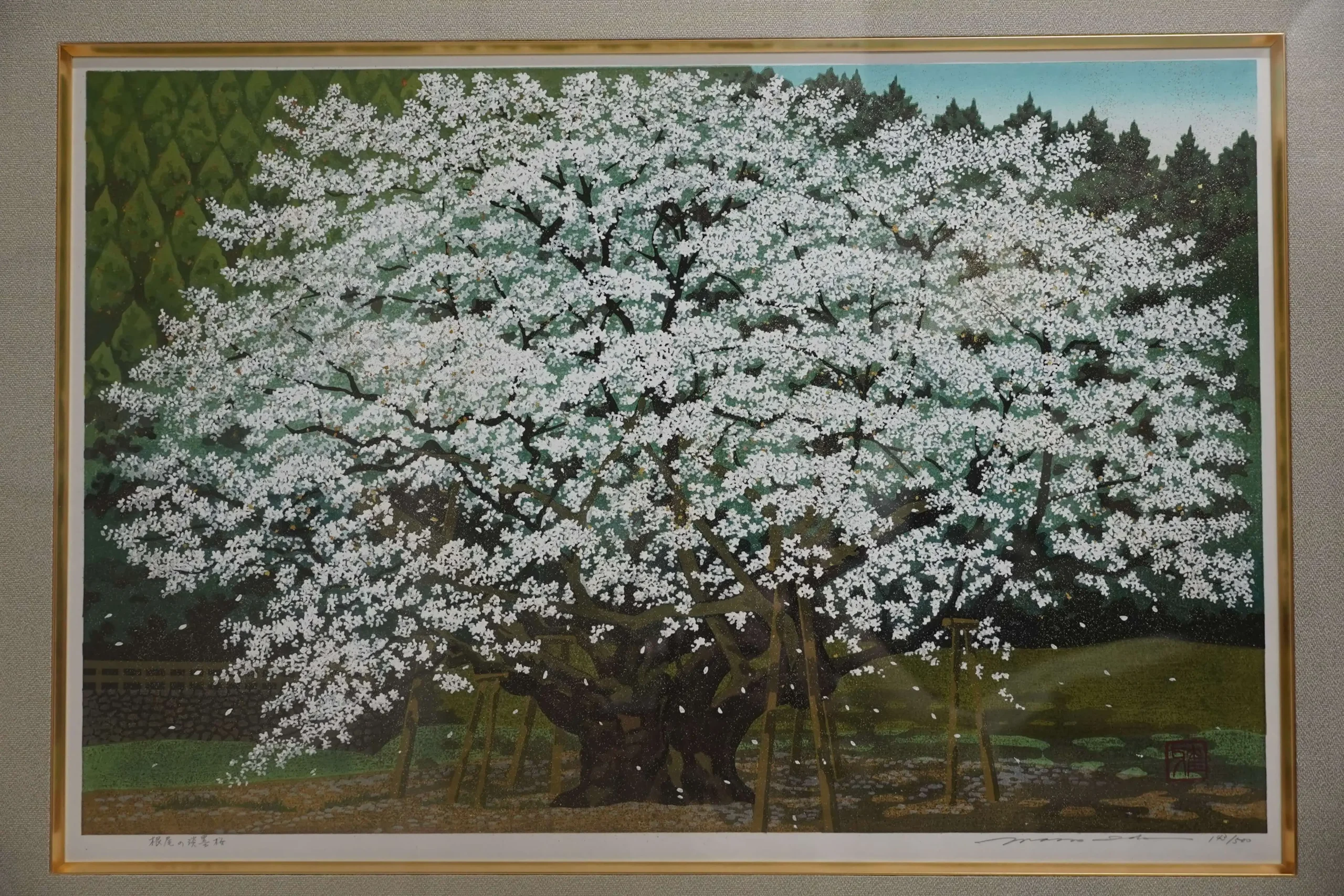 【絵画】井堂雅夫「根尾の淡墨桜