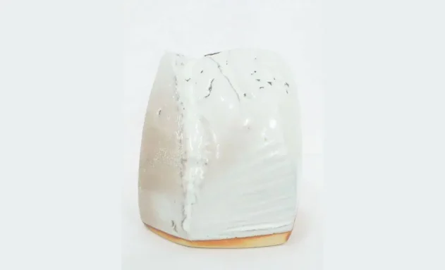 【陶磁器】兼田昌尚 萩白釉窯変刳貫花入