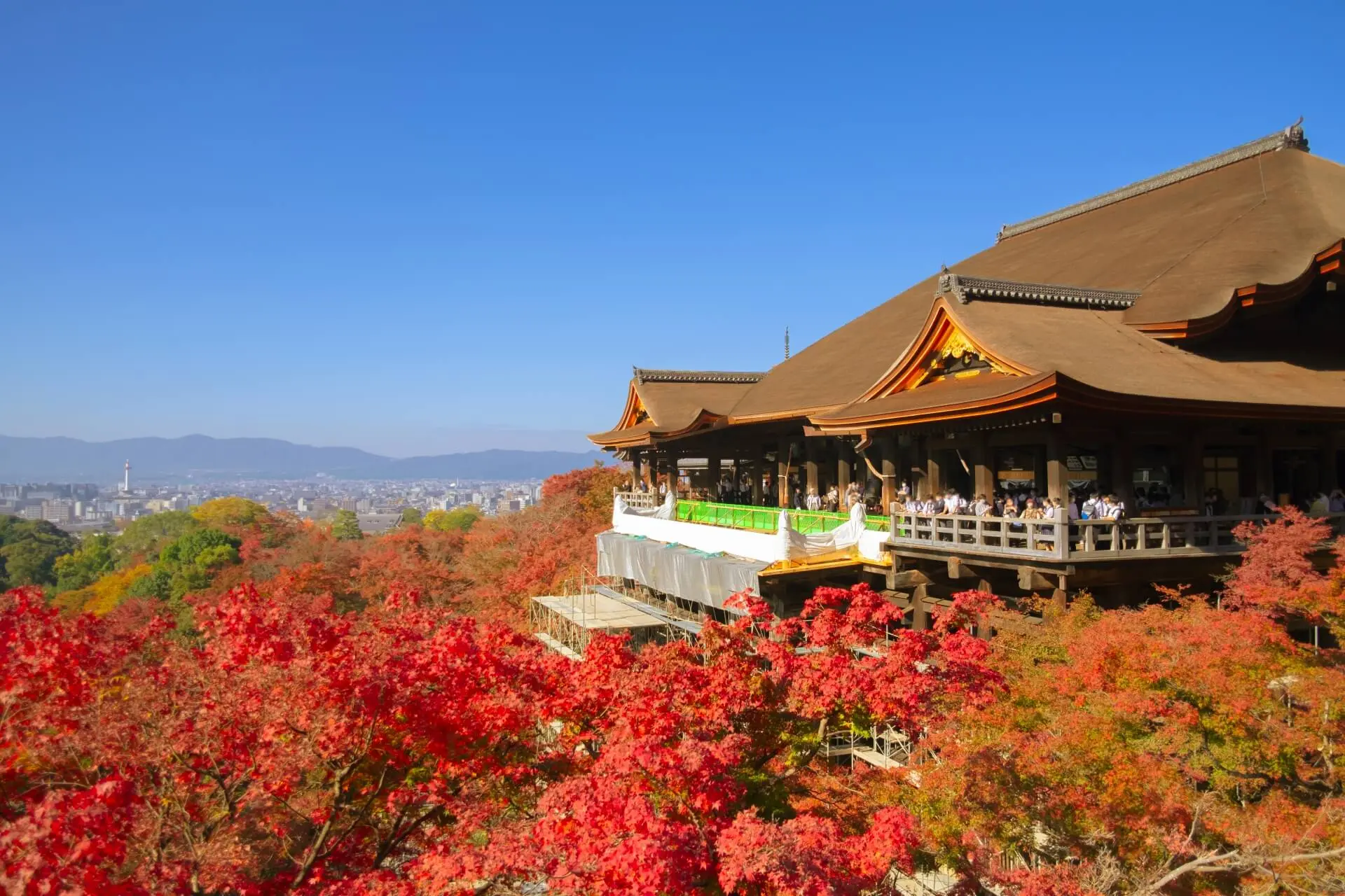 京都府の代表的な風景_清水寺の紅葉の風景